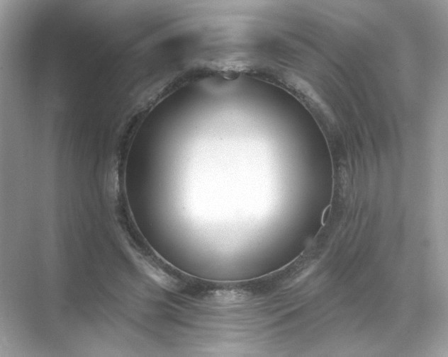 X0000071800541200607072054