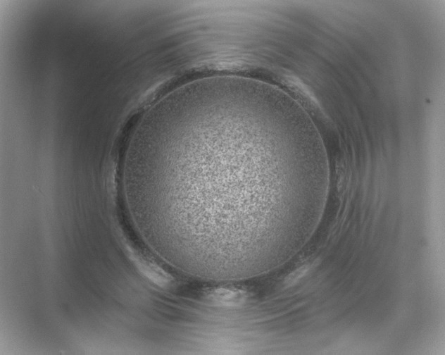 X0000071800542200607072054