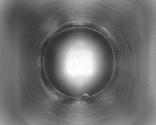 X0000071800543200607072054