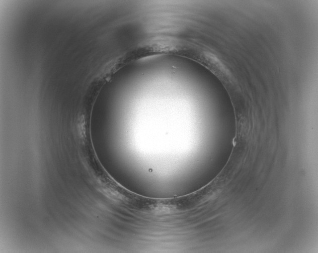 X0000071800549200607072054