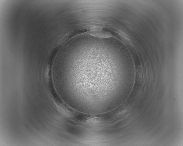 X0000071800550200607072054