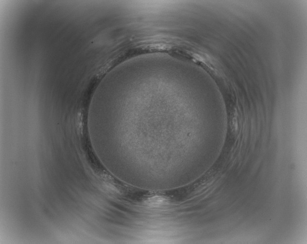 X0000071800551200607072054