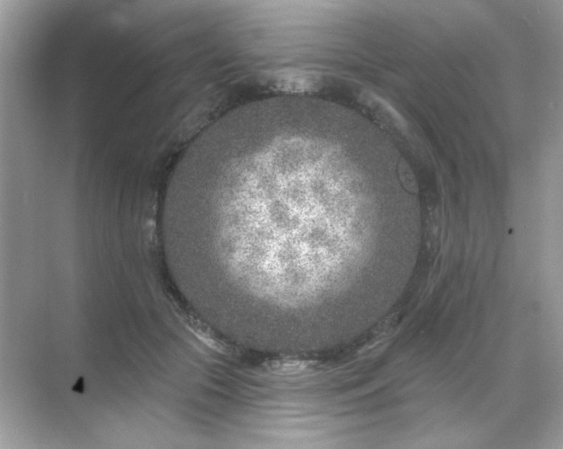 X0000071800553200607072054