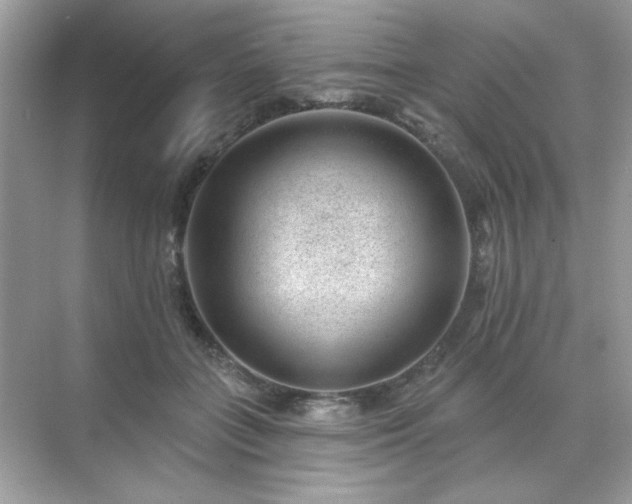 X0000071800555200607072054