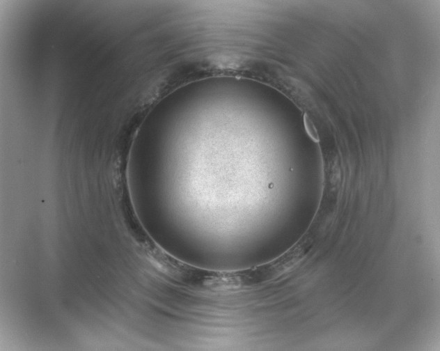 X0000071800559200607072054