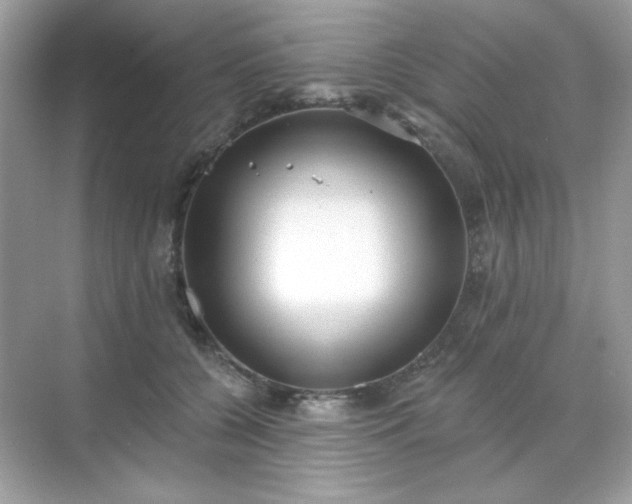 X0000071800560200607072054