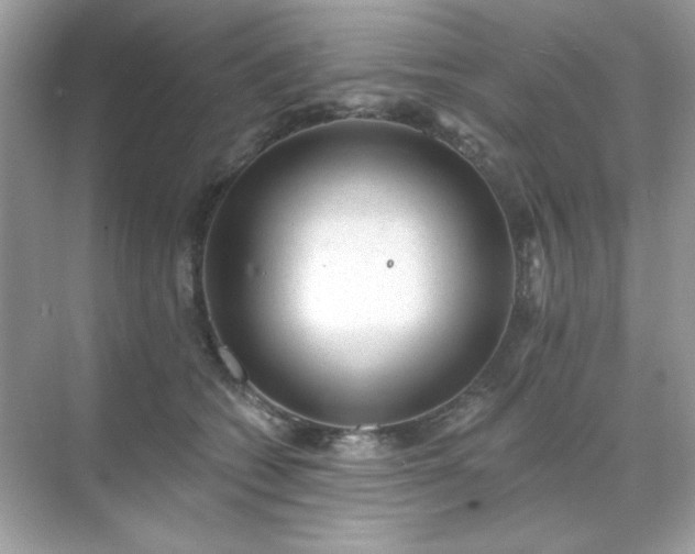 X0000071800562200607072054