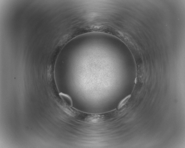 X0000071800563200607072054