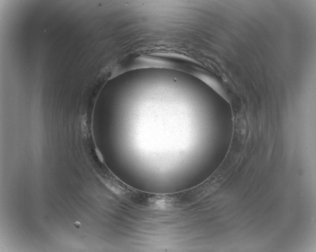 X0000071800564200607072054