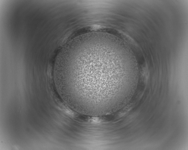 X0000071800565200607072054