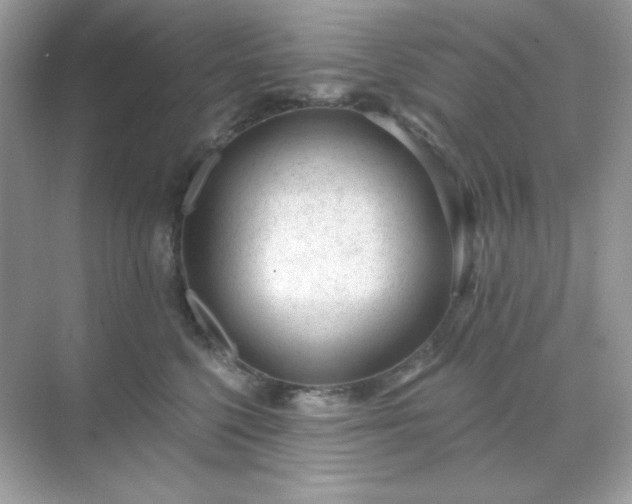 X0000071800568200607072054