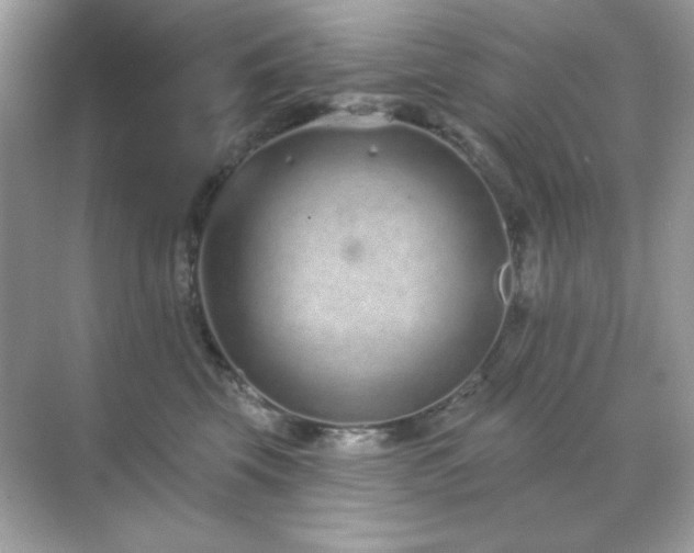 X0000071800569200607072054