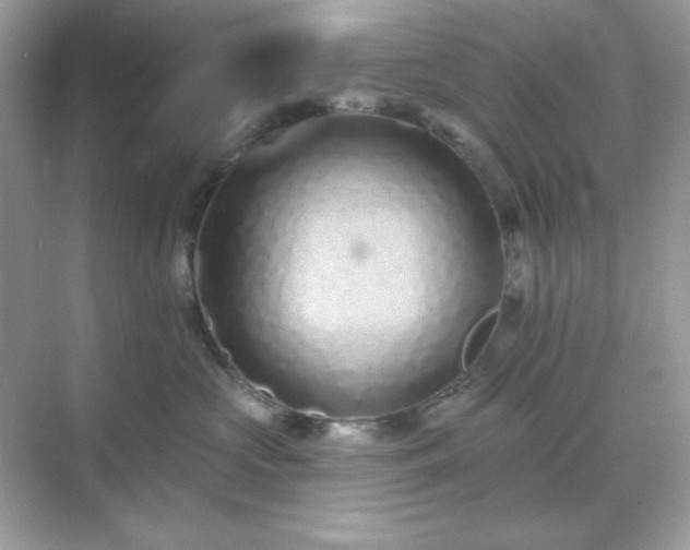 X0000071800573200607072055