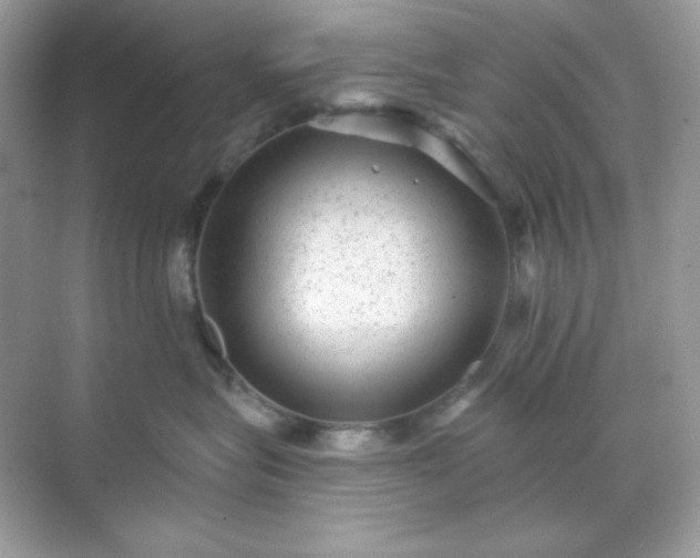 X0000071800575200607072055