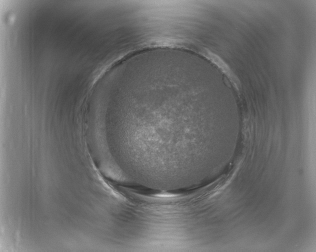 X0000071800577200607072054