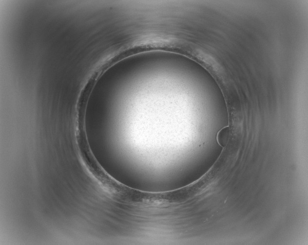 X0000071800582200607072054