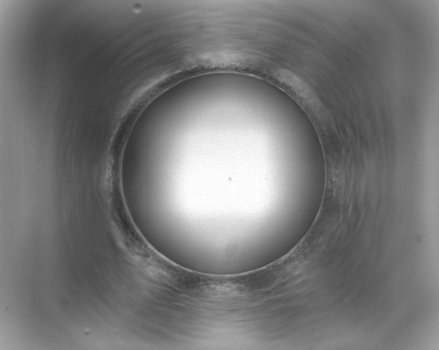 X0000071800583200607072054