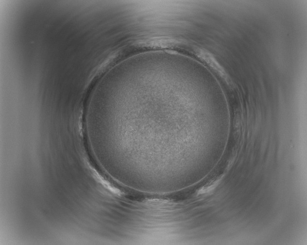 X0000071800585200607072054