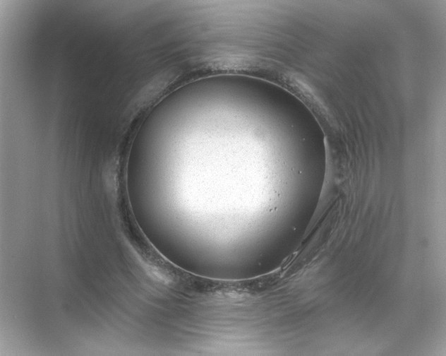 X0000071800586200607072054