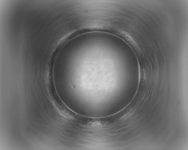 X0000071800588200607072054