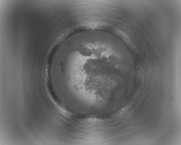 X0000071800590200607072054