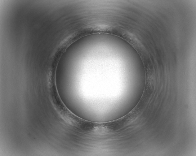 X0000071800591200607072054