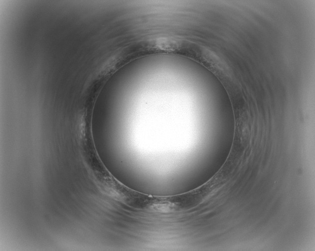 X0000071800595200607072053