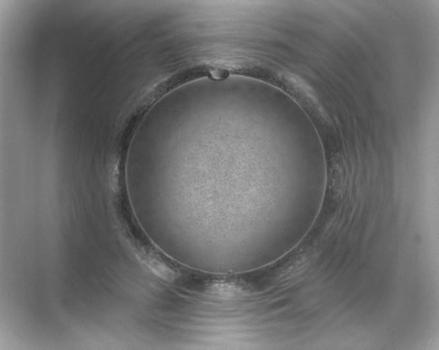 X0000071800596200607072053