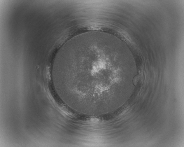 X0000071800598200607072053