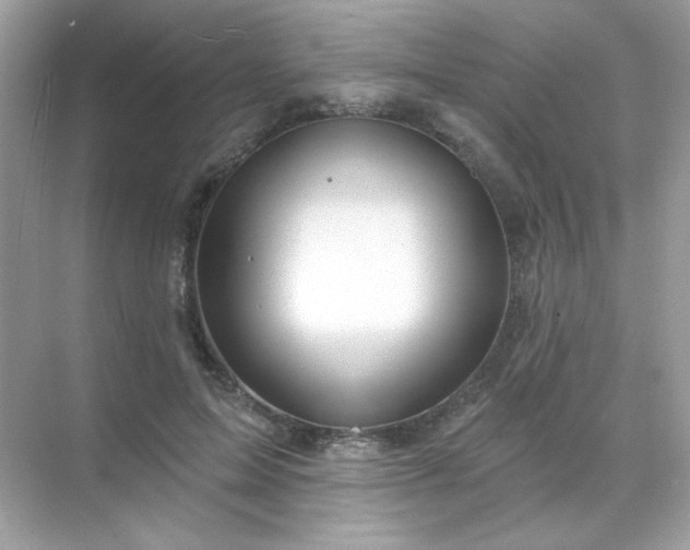 X0000071800599200607072053