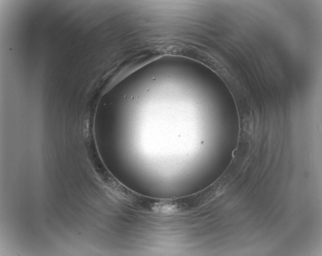 X0000071800602200607072053