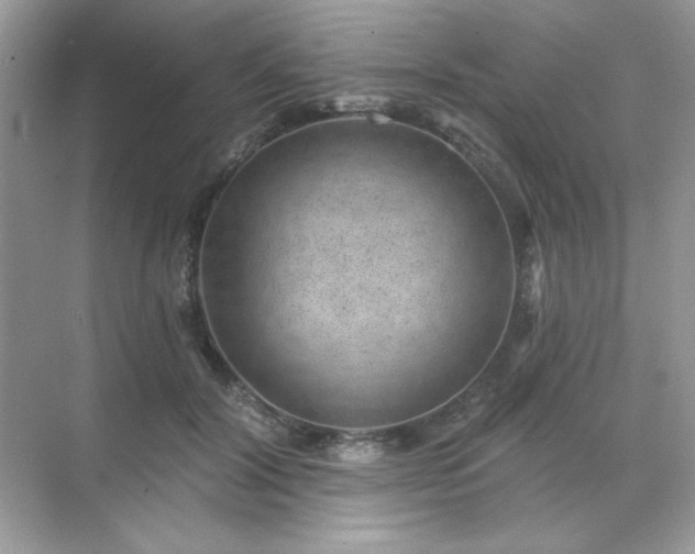 X0000071800604200607072053