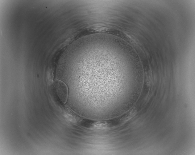 X0000071800606200607072053