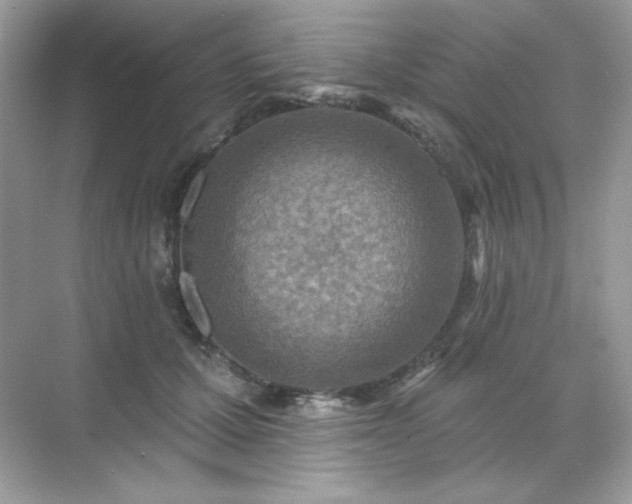 X0000071800607200607072053