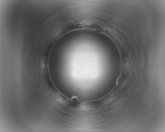 X0000071800608200607072053