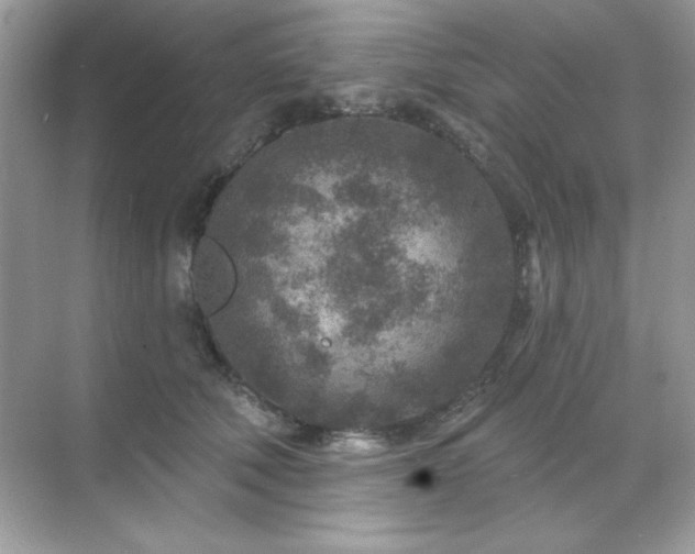 X0000071800610200607072053