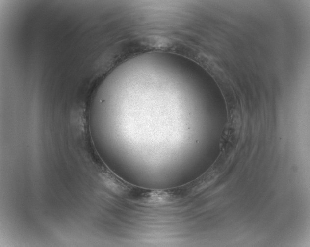 X0000071800612200607072053