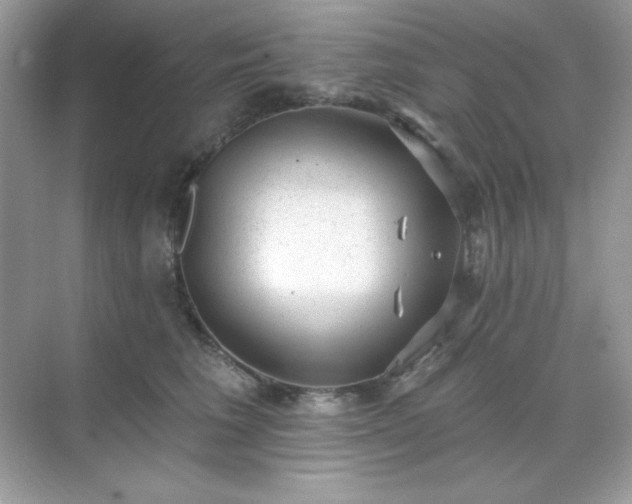 X0000071800613200607072053