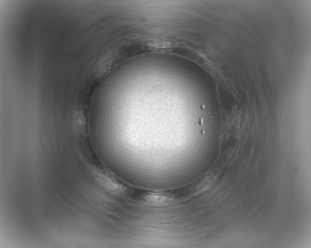 X0000071800614200607072053