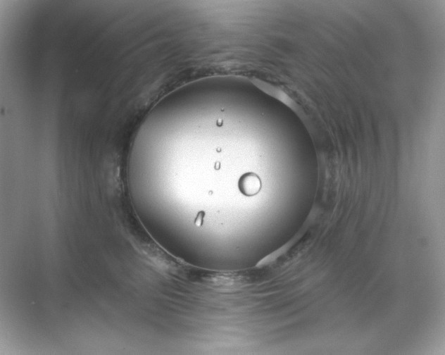 X0000071800615200607072053