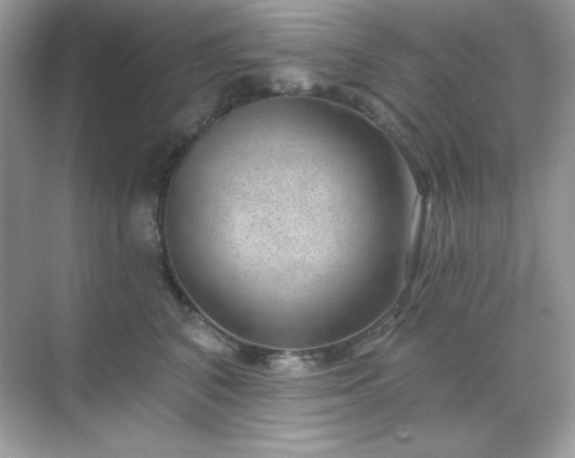 X0000071800616200607072053