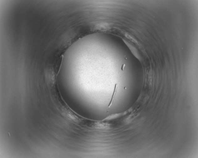 X0000071800617200607072053