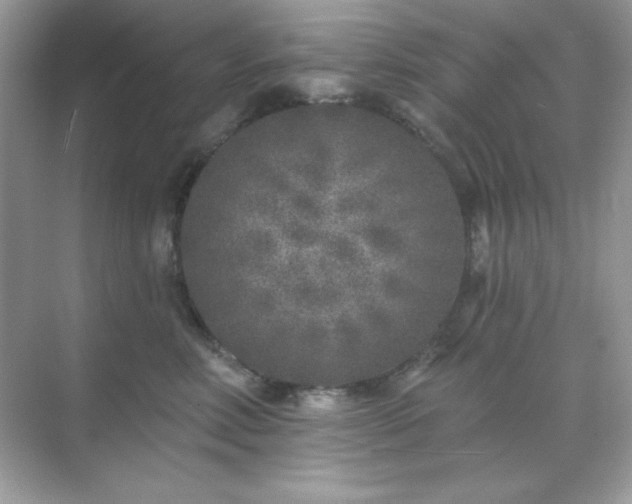 X0000071800618200607072053