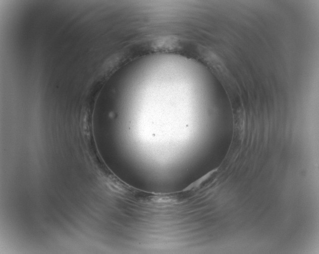 X0000071800619200607072053