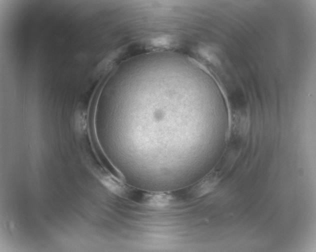 X0000071800621200607072053