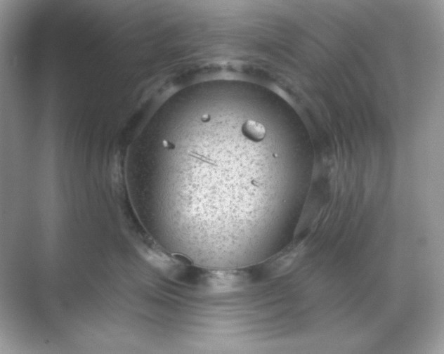 X0000071800623200607072053