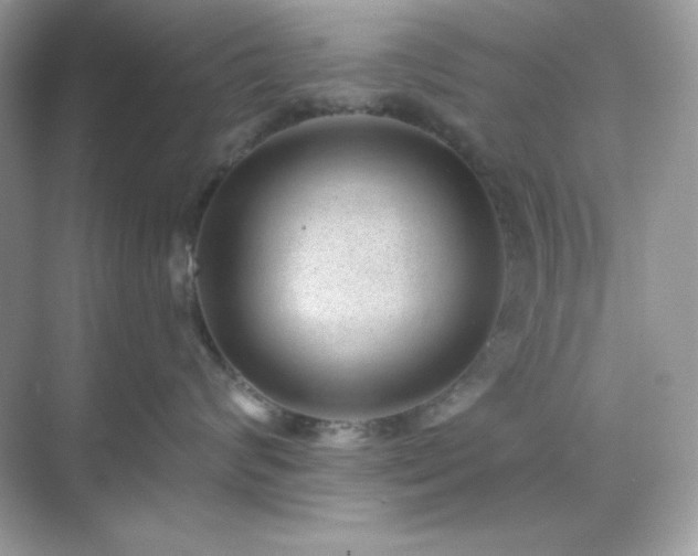 X0000071800624200607072053