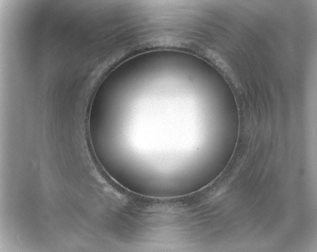 X0000071800625200607072052