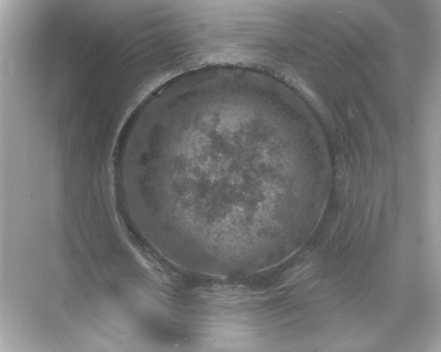 X0000071800626200607072052