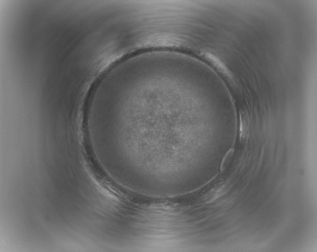 X0000071800627200607072052